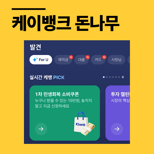 케이뱅크 돈나무 물주는 방법