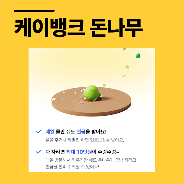 케이뱅크 돈나무 물주는 방법