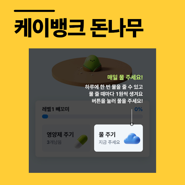 케이뱅크 돈나무 물주는 방법