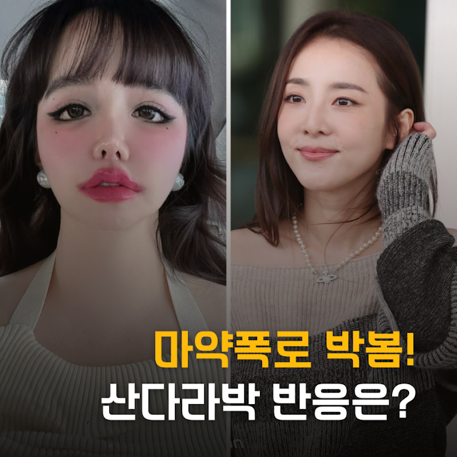 2NE1 내부 갈등의 서막, 자필 편지가 불러온 파장 박봄 산다라박 마약 사건 정리